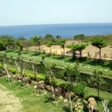 圖